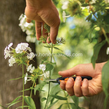 Orange/Black  hot sale garden Pruning Snip pruning shears scissors for flowers/garden tree